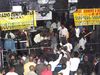 Picture_310.jpg